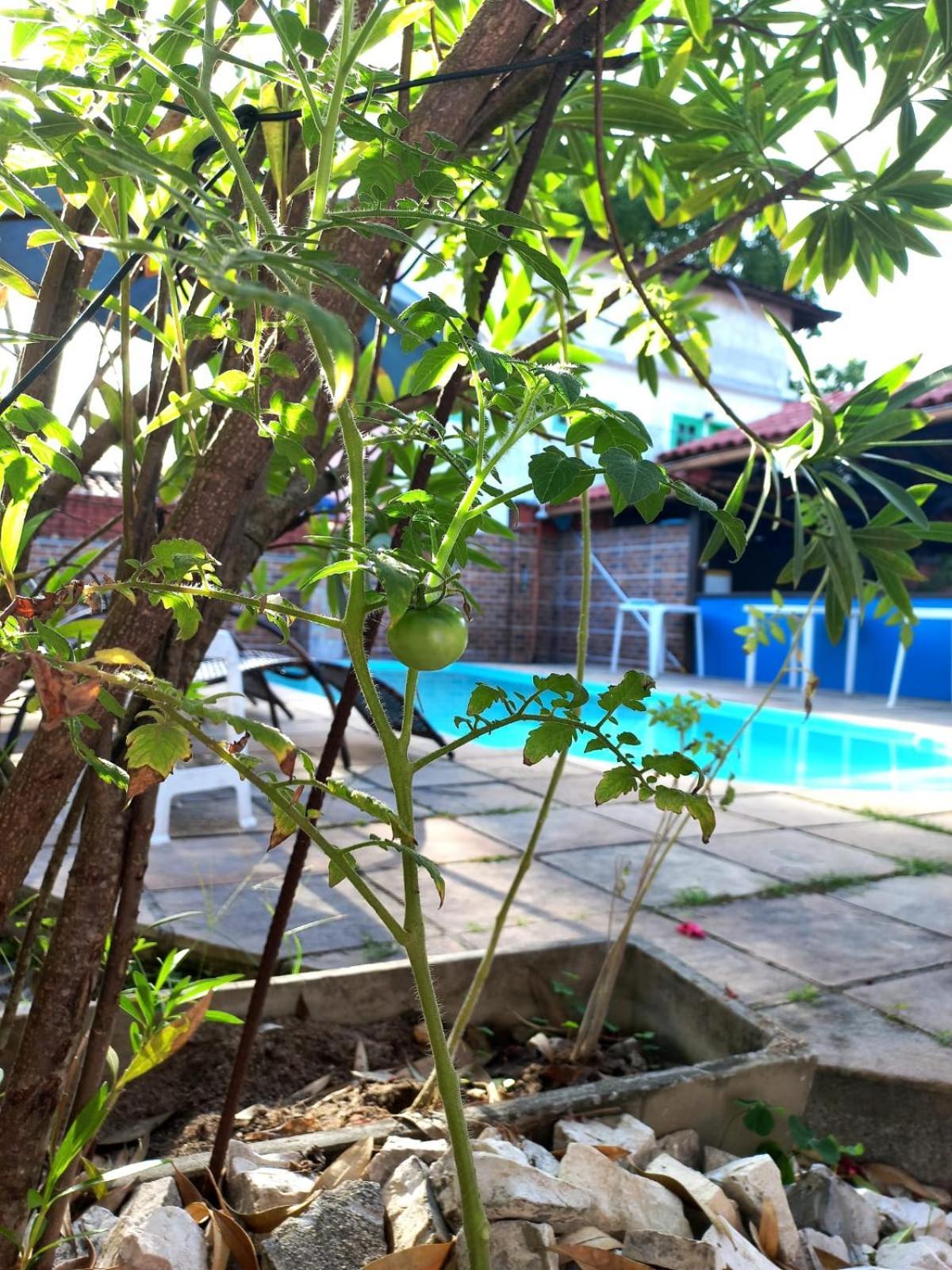 Pousada Flor Do Dende Porto Seguro Exterior foto